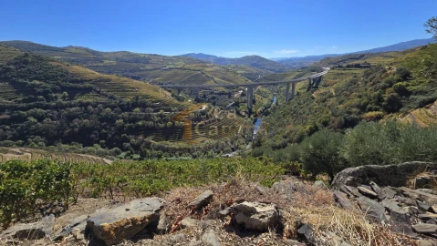 Quinta T0 para Venda em Lobrigos (São Miguel e São João Baptista) e Sanhoane