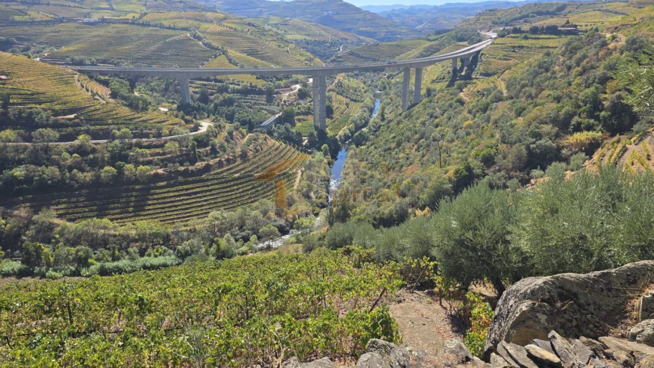 Quinta T0 para Venda em Lobrigos (São Miguel e São João Baptista) e Sanhoane Foto 1