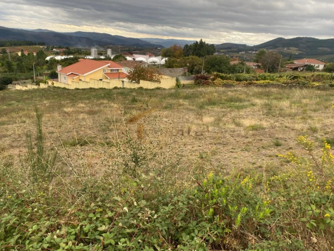 Terreno para Venda em Sabrosa Foto 3