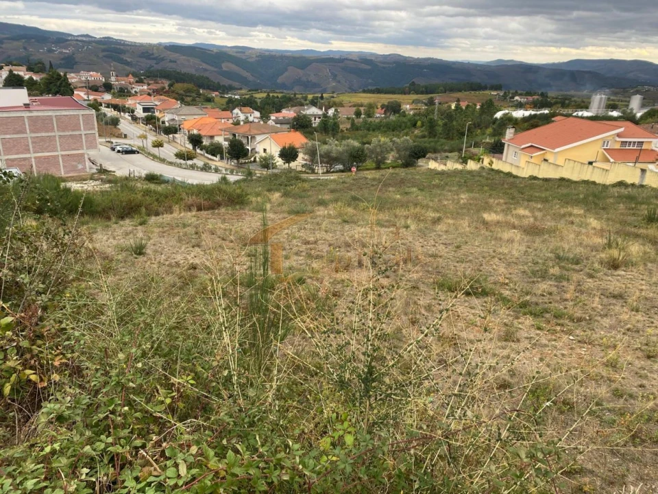 Terreno para Venda em Sabrosa Foto 4