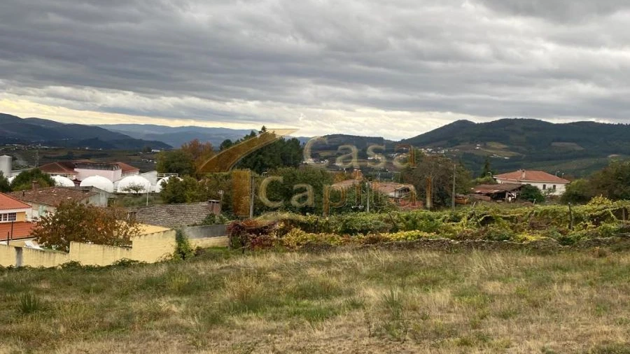 Terreno para Venda em Sabrosa