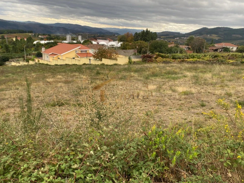Terreno para Venda em Sabrosa Foto 3