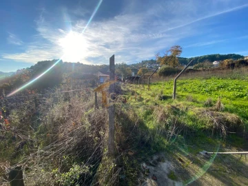 Terreno para Venda em Vila Marim