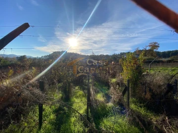 Terreno para Venda em Vila Marim