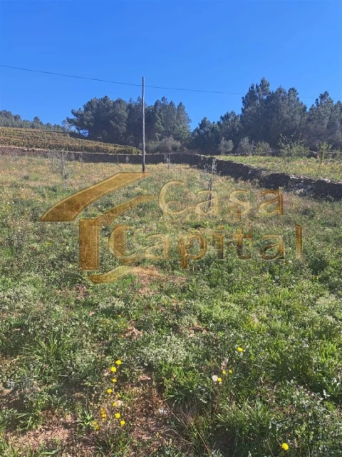 Quinta T0 para Venda em Andrães