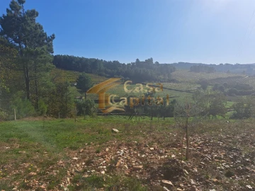 Quinta T0 para Venda em Andrães