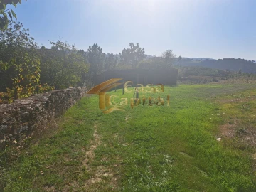 Quinta T0 para Venda em Andrães