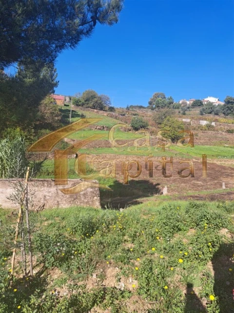 Quinta T0 para Venda em Andrães