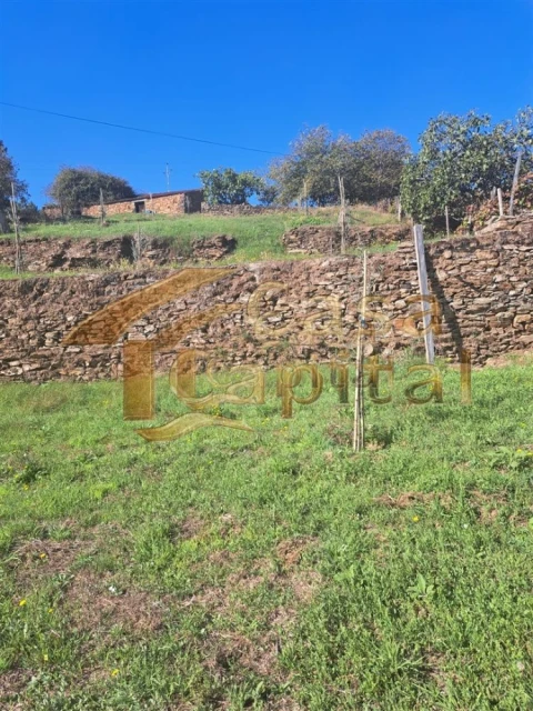 Quinta T0 para Venda em Andrães
