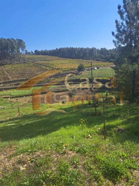 Quinta T0 para Venda em Andrães