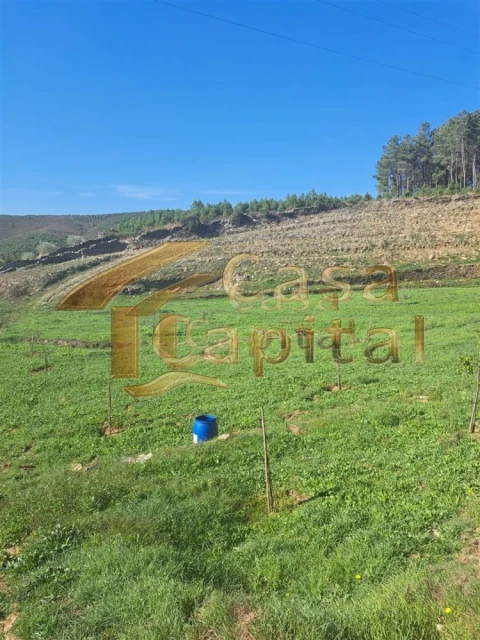 Quinta T0 para Venda em Andrães