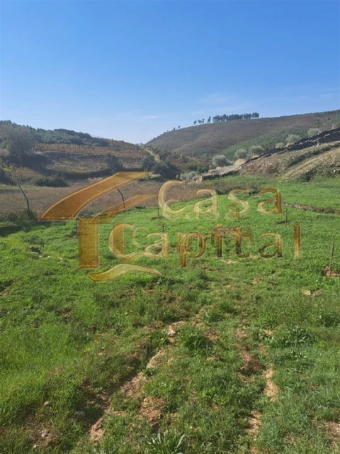 Quinta T0 para Venda em Andrães