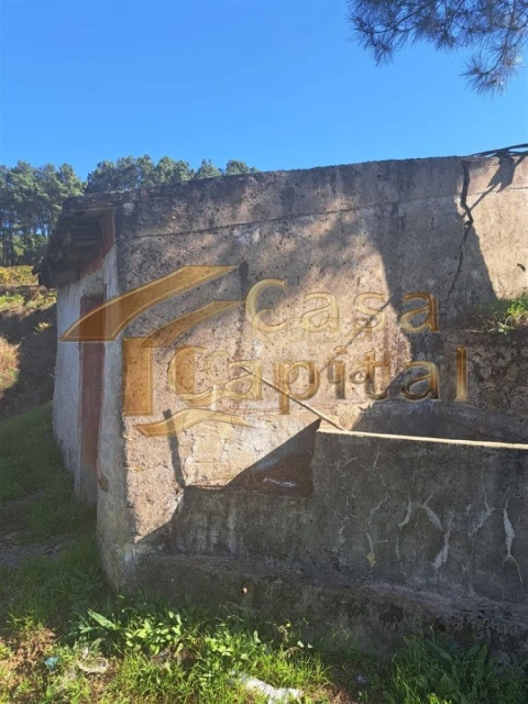 Quinta T0 para Venda em Andrães