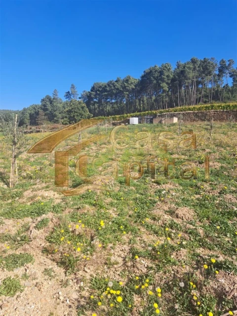 Quinta T0 para Venda em Andrães