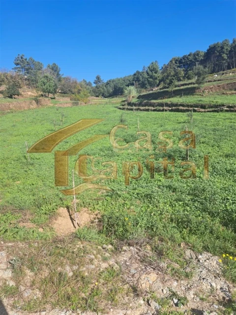 Quinta T0 para Venda em Andrães