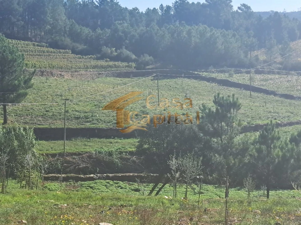 Quinta T0 para Venda em Andrães Foto 4