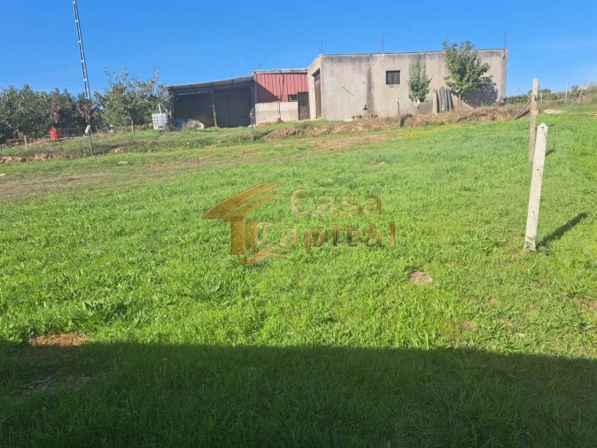 Quinta T0 para Venda em Andrães Foto 22