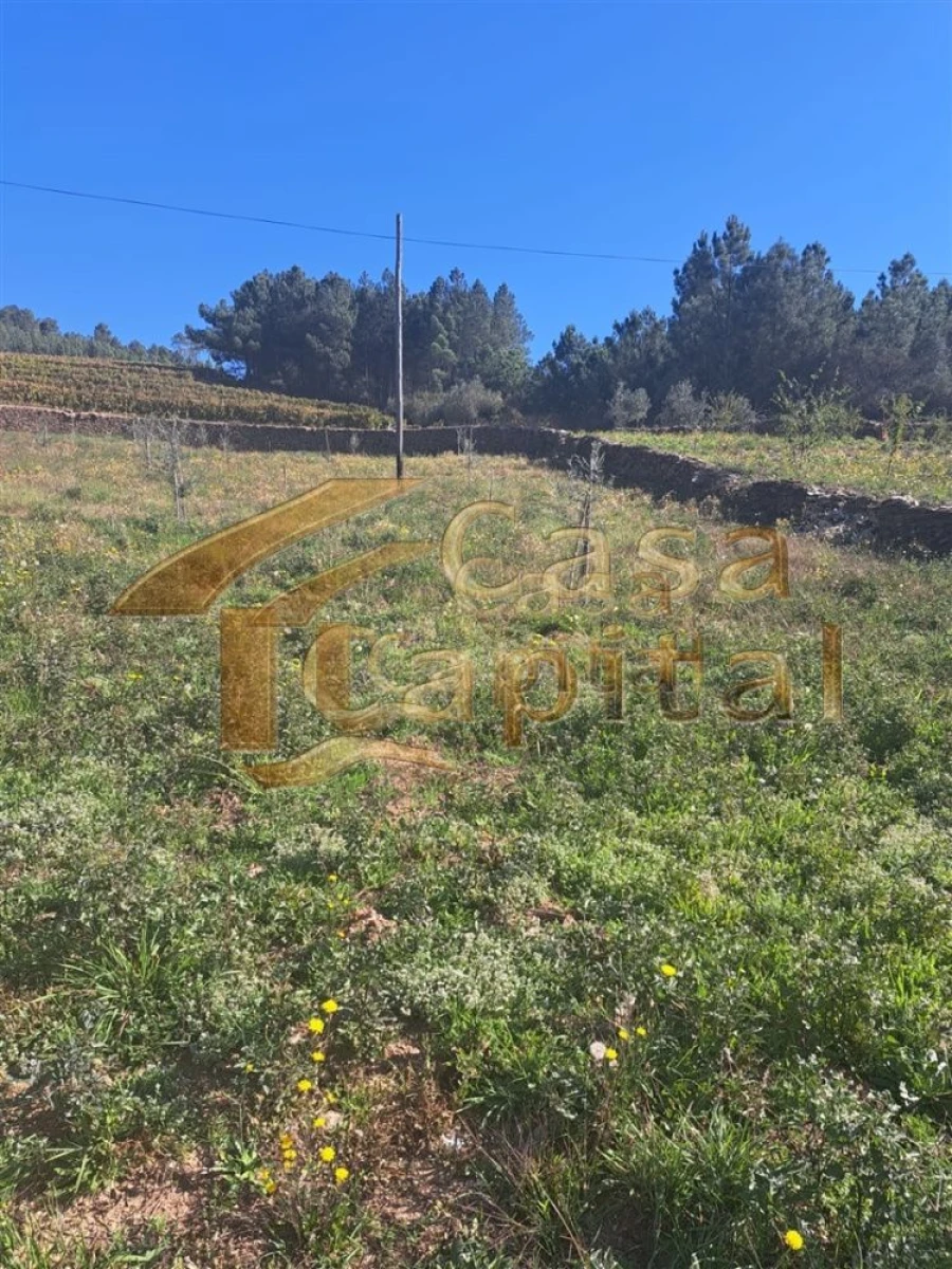 Quinta T0 para Venda em Andrães Foto 9