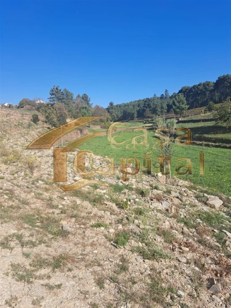 Quinta T0 para Venda em Andrães Foto 13