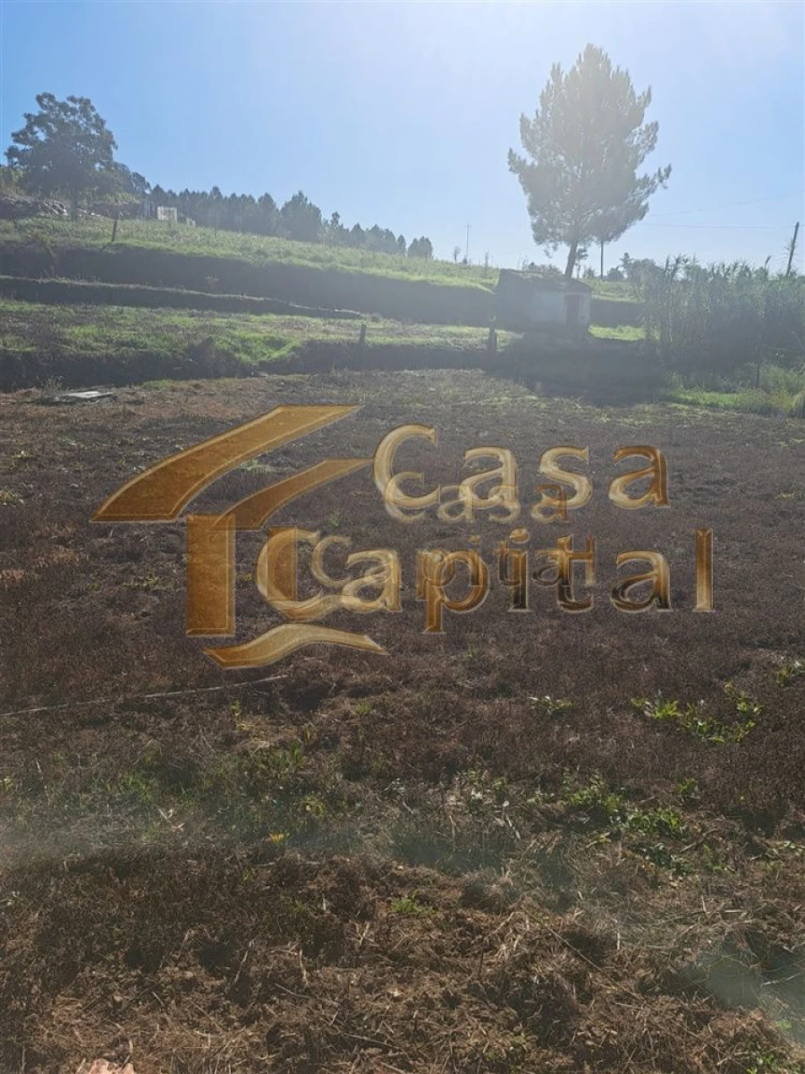 Quinta T0 para Venda em Andrães Foto 12