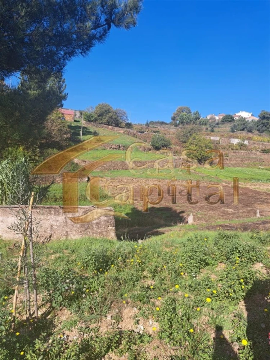 Quinta T0 para Venda em Andrães Foto 21