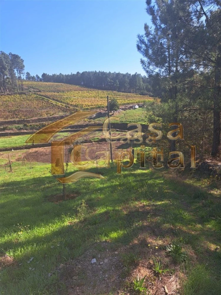 Quinta T0 para Venda em Andrães Foto 37