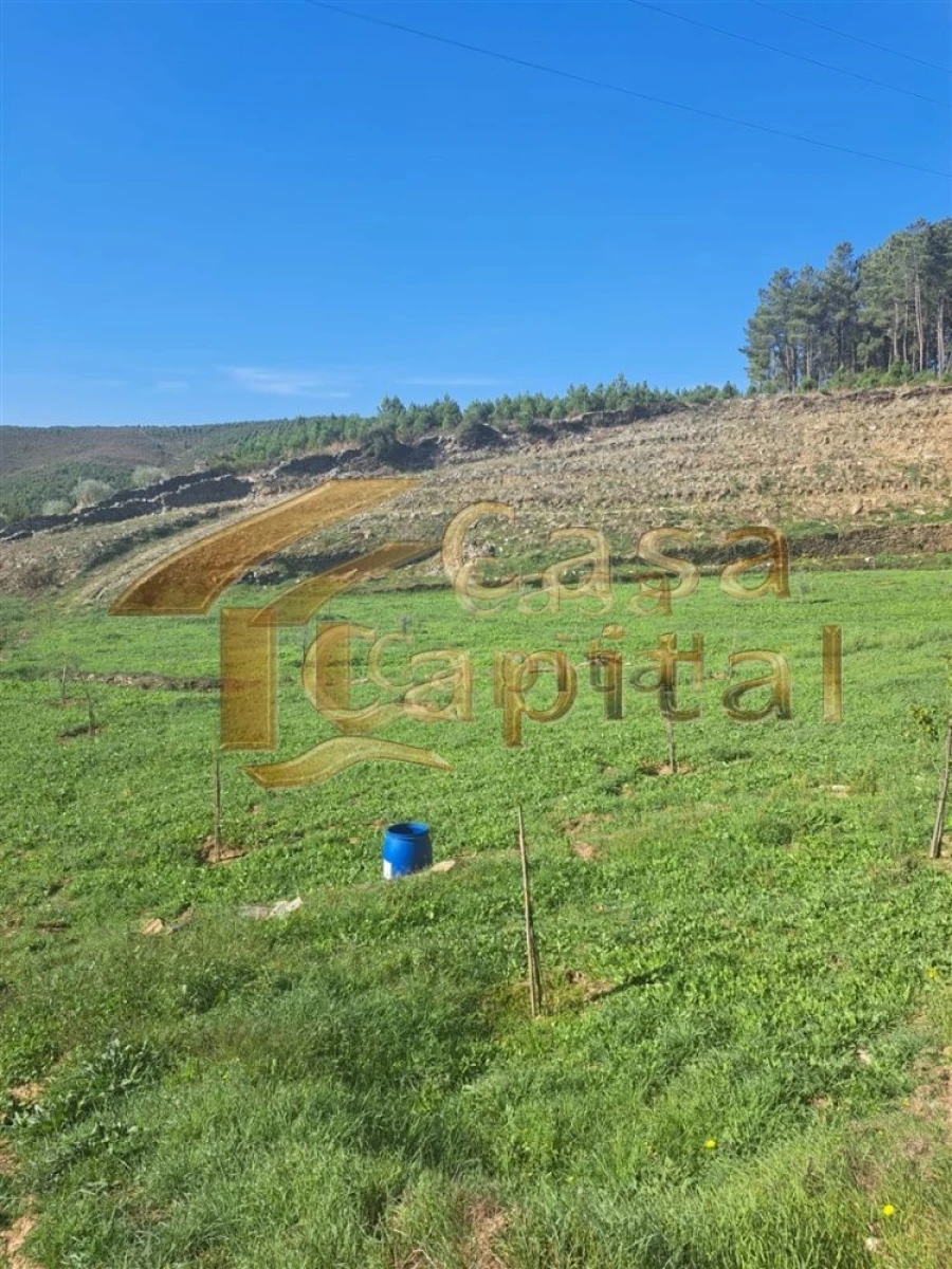 Quinta T0 para Venda em Andrães Foto 30