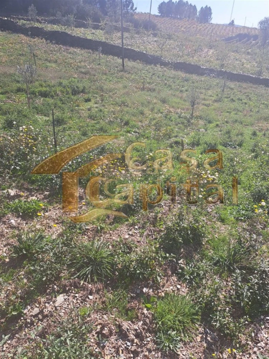 Quinta T0 para Venda em Andrães Foto 11