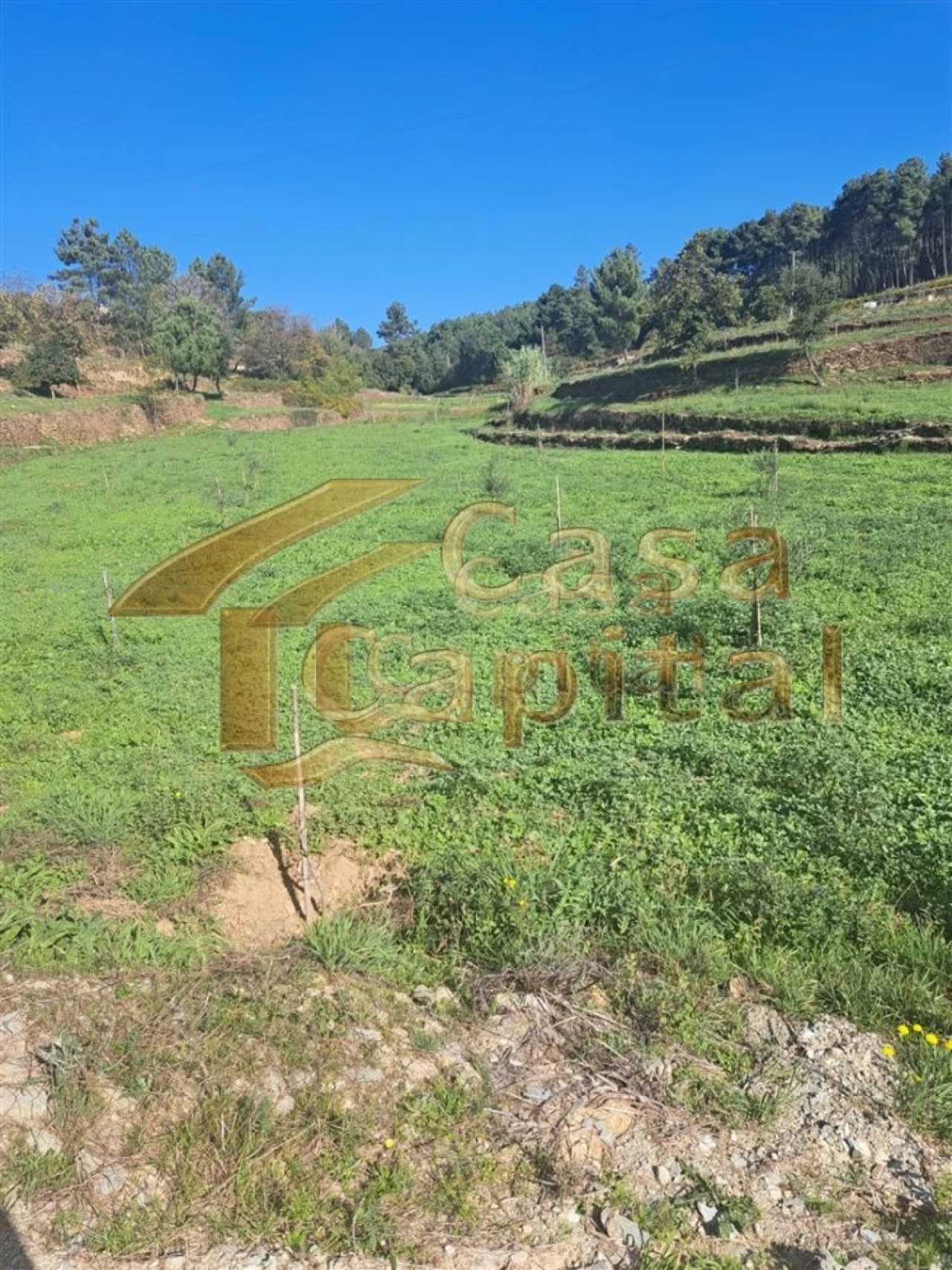 Quinta T0 para Venda em Andrães Foto 33