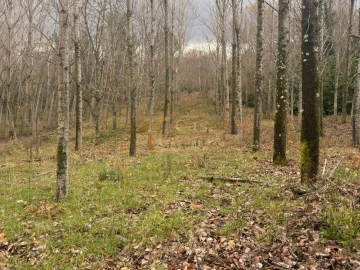 Terreno para Venda em Vila Marim