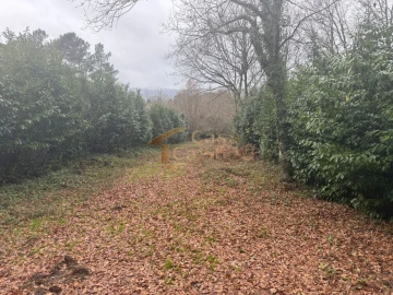 Terreno para Venda em Vila Marim