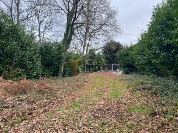 Terreno para Venda em Vila Marim