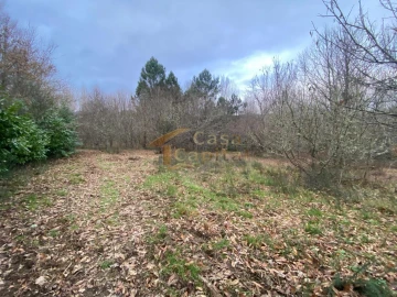 Terreno para Venda em Vila Marim