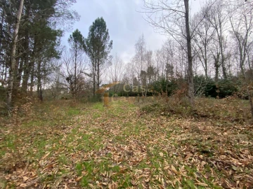 Terreno para Venda em Vila Marim