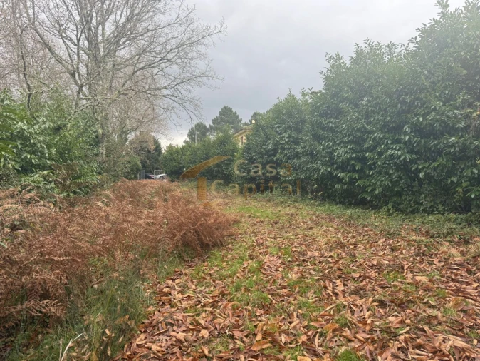 Terreno para Venda em Vila Marim Foto 14