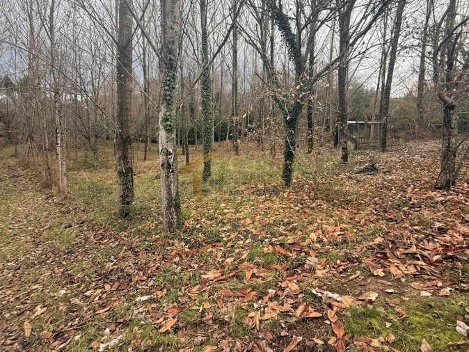 Terreno para Venda em Vila Marim Foto 11