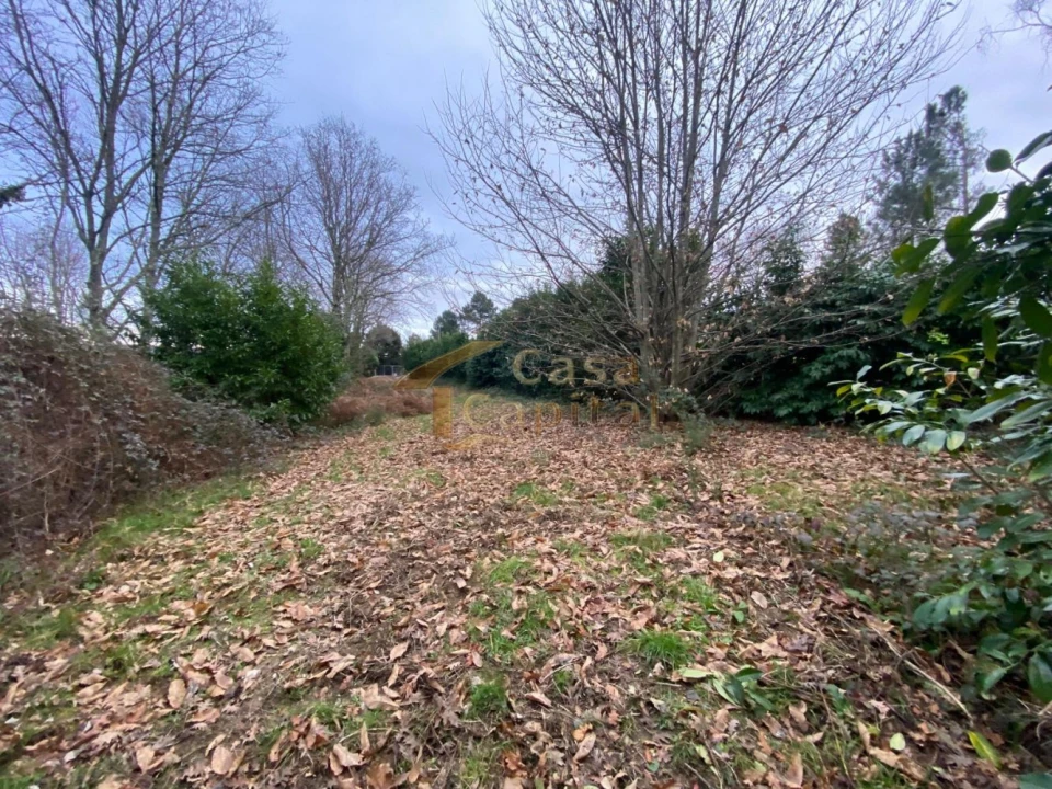Terreno para Venda em Vila Marim Foto 21