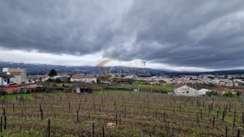 Quinta T5 para Venda em Folhadela