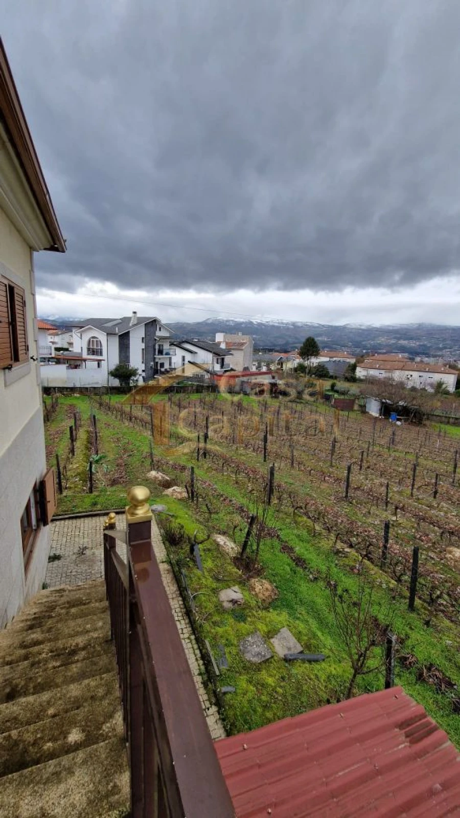 Quinta T5 para Venda em Folhadela Foto 4