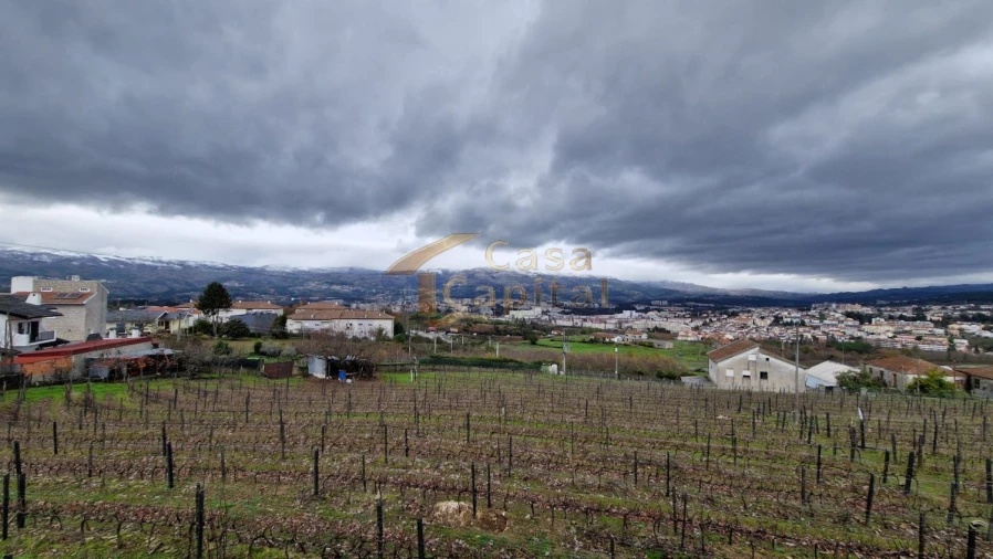 Quinta T5 para Venda em Folhadela Foto 3