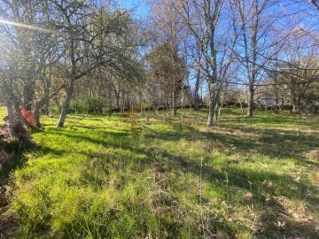 Terreno para Venda em São Tomé do Castelo e Justes