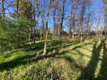 Terreno para Venda em São Tomé do Castelo e Justes