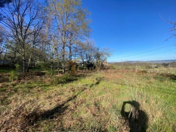 Terreno para Venda em São Tomé do Castelo e Justes