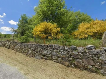 Terreno para Venda em São Tomé do Castelo e Justes