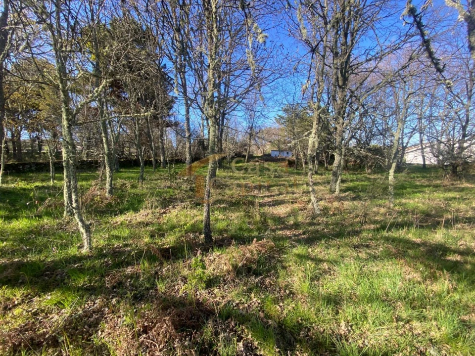 Terreno para Venda em São Tomé do Castelo e Justes Foto 11