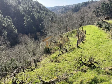 Quinta T0 para Venda em Pena, Quintã e Vila Cova