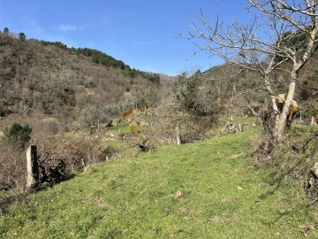 Quinta T0 para Venda em Pena, Quintã e Vila Cova