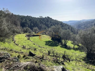 Quinta T0 para Venda em Pena, Quintã e Vila Cova