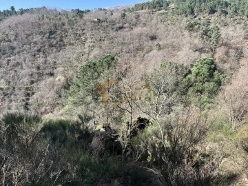 Quinta T0 para Venda em Pena, Quintã e Vila Cova