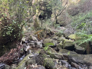 Quinta T0 para Venda em Pena, Quintã e Vila Cova